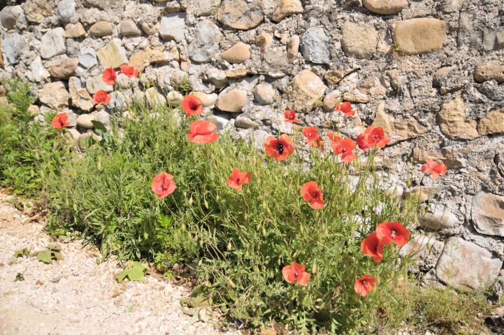 Gites Du Domaine Des Dames Vallon-Pont-d'Arc Ruang foto